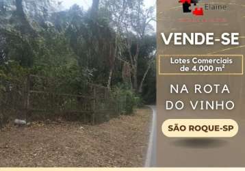 Oportunidade lotes comerciais na rota do vinho