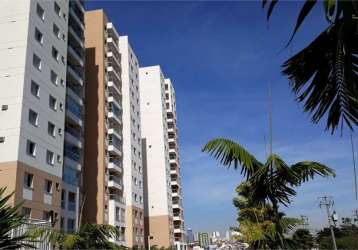 Apartamento com 3 quartos à venda em jardim emília - sp