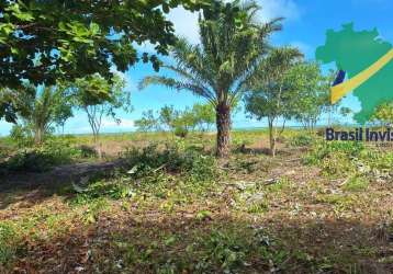 Área pé na areia em santo antônio.