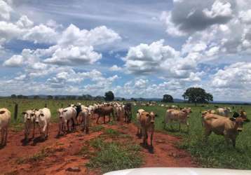 Rurais fazenda em paracatu