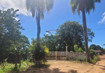 Granja / haras à venda no conde, com 11,4 hectares