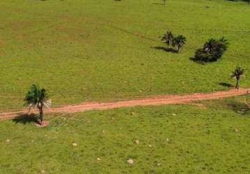 Fazenda de oportunidade ! 31 alqueires ! região de adelandia-go !