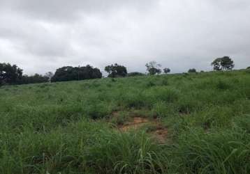 Fazenda de 84 alqueires em araguaçu-to ! oportunidade !