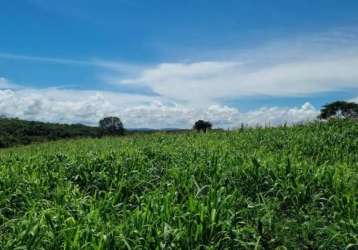 Fazenda em itapuranga goiás com 101 alqueires ! oferta !