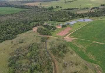 Fazenda município de santa - cruz-go - dupla aptidão ! 189.07 hectares ! 