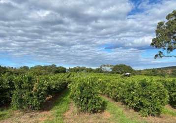 Fazenda de oportunidade em januaria-mg ! 210 hectares !