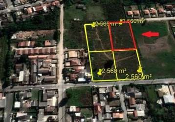 Terreno à venda, 2560 m² por r$ 630.000,00 - joana olímpia - campina grande do sul/pr