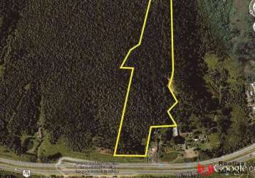 Área 63.202,79 m² às margens da rodovia regis bittencourt - km 297 + 150 m