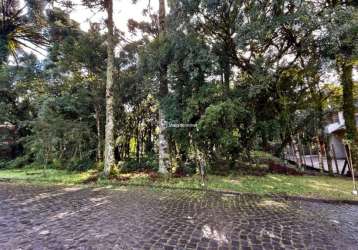 Terreno à venda na carlos felipe spindler, bosque sinoserra, canela por r$ 650.000