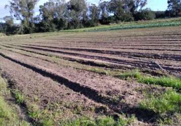 Área  com 4,742 hectares na av. do lami, bairro belém novo, porto alegre/rs. terra agricultável, atualmente com culturas da época, o que mantém a área em excelentes condições de conservação. proprieda