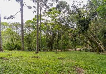 Terreno rua sem saída santa felicidade