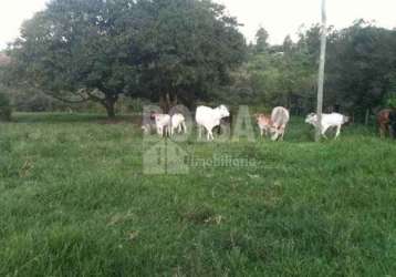 Fazenda para venda com 8 alq. e 2 quartos em parque ferradura mirim, bauru - sp