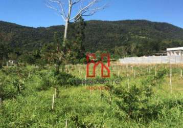 Terreno à venda, 5000 m² por r$ 2.300.000,00 - santo antônio de lisboa - florianópolis/sc
