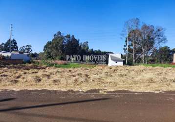 Terreno à venda no bairro cristo rei