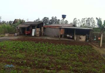 Chácara 3 dormitórios à venda zona rural são joão do sul/sc