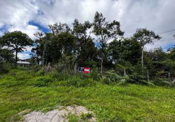 Área rural campo alto - tijucas do sul