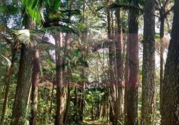 Sítio para venda em ribeirão pires, ,,,