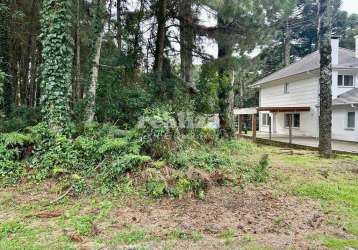 Lindo terreno plano em canela, vila luiza, canela - rs