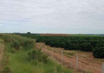 Fazenda para venda em franca, parque francal