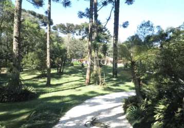 Fazenda à venda na rua francisco buzato, 329, área rural de almirante tamandaré, almirante tamandaré, 110 m2 por r$ 1.800.000