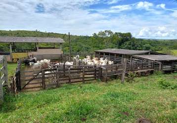 Fazenda 28 alqueires municipio cocalzinho