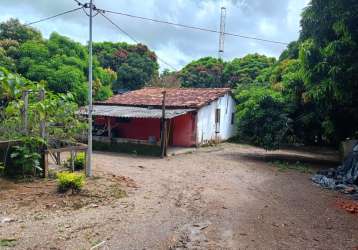 Fazenda 22 alqueires municipio cocalzinho goias