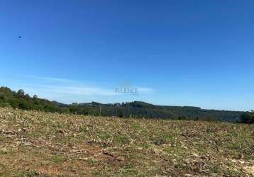 Área rural à venda, linha santa tecla - santa tereza/rs