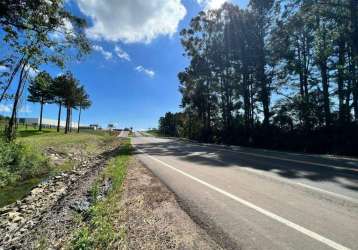 Área comercial à venda, linha são roque figueira de melo - garibaldi/rs