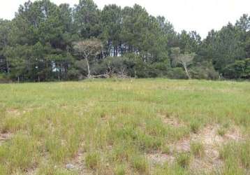 Terreno de 413,22 m², ingleses do rio vermelho, florianópolis sc