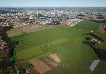 Terreno à venda, 1410 m² por r$ 2.088.000,00 - brasmadeira - cascavel/pr