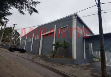 Galpao de 2350m² em terra preta