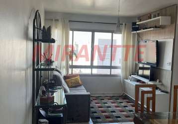 Apartamento de 50m² com 2 quartos em tucuruvi