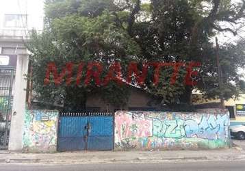 Terreno em vila mazzei