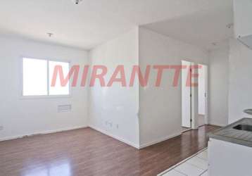 Apartamento de 40m² com 2 quartos em limão