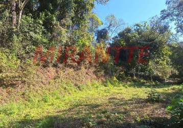 Terreno em roseira