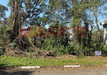 Terreno em parque suiça