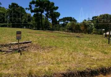 Terreno à venda na rua travessão vítor emanuel, nossa senhora da saúde, caxias do sul por r$ 1.100.000