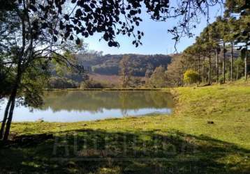 Chácara / sítio à venda na estrada do vinho, loreto, caxias do sul por r$ 425.000