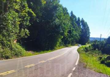 Terreno à venda na rua travessão thompson flores, nossa senhora da saúde, caxias do sul por r$ 2.000.000