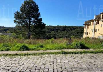 Terreno à venda na rua josé constant lazzari, s/n, são giácomo, caxias do sul por r$ 145.000