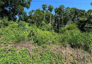 Terreno à venda no ribeirão areia, pomerode  por r$ 235.000