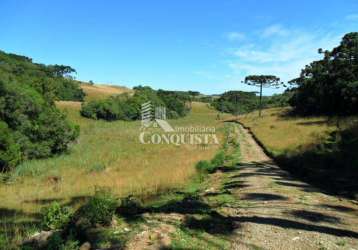 Terreno à venda na rua patrício pasquali, 2020, vila seca, caxias do sul por r$ 350.000