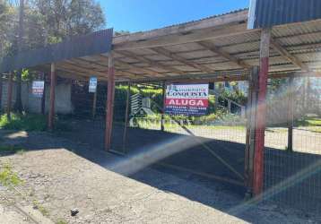 Terreno comercial para alugar na br 116 km, 13202, são cristóvão, caxias do sul por r$ 3.200