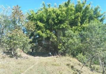 Fazenda - sítio à venda, padre brito - barbacena/mg