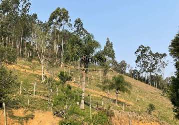 Terreno com 5 hectares á venda, com excelente localização, angelina - sc