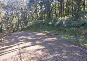 Terreno à venda na ers-466, 16, caracol, canela, 952 m2 por r$ 750.000