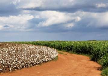 Belíssima fazenda disponível para venda em paranapanema sp