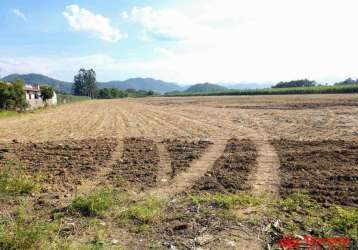 Terreno à venda, 20000 m²  - sete de setembro - gaspar/sc