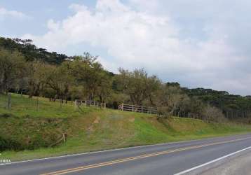 Em urubici 18 hectares com excelente aproveitamento de frente para rod 4 km da c