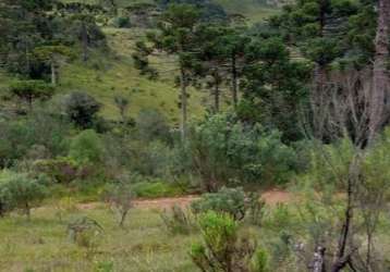 Área rural com 10 hectares,  na localidade de pericó em são joaquim